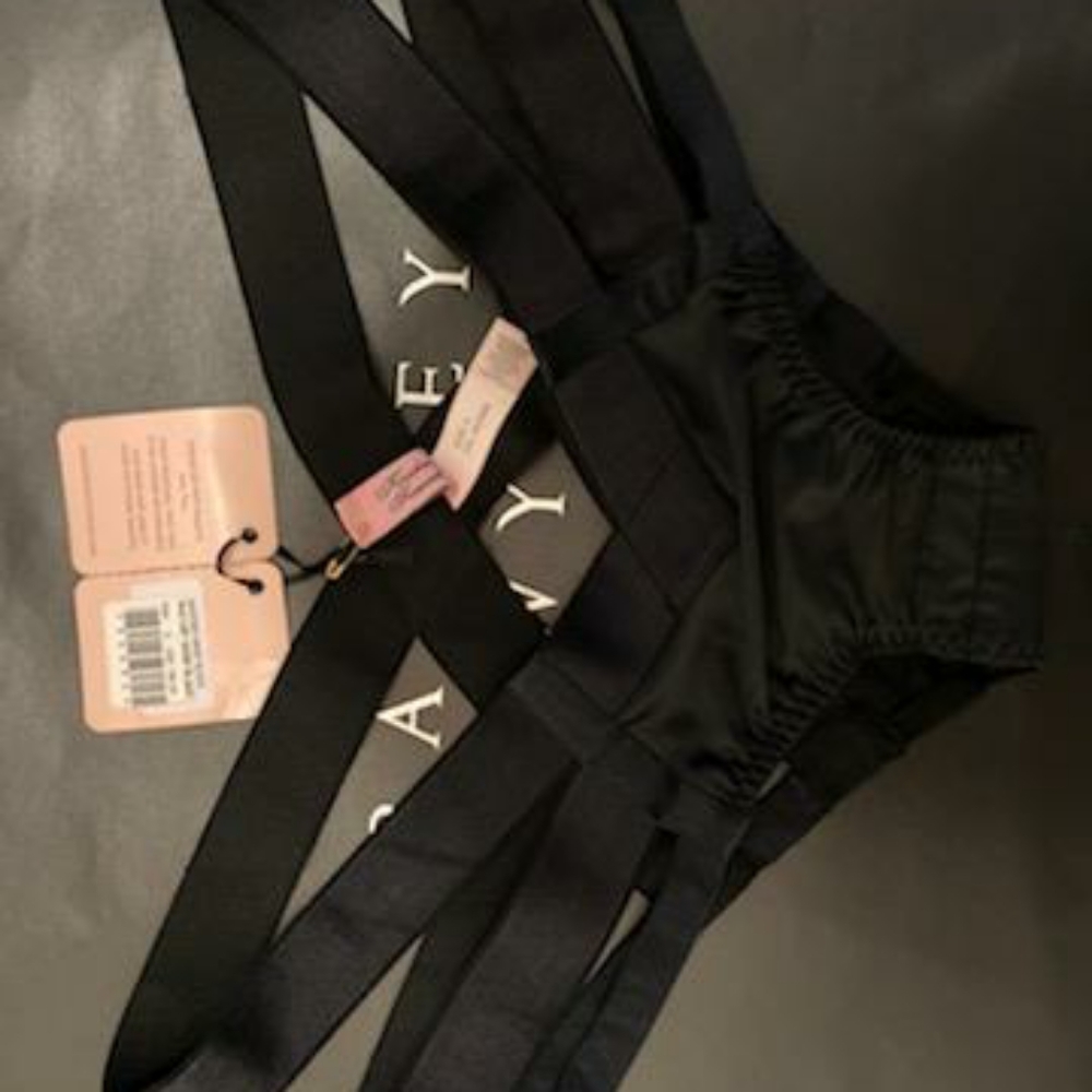 Whitney brief